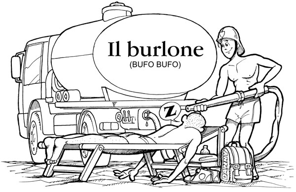 La compagnia (undicesima parte) - Il burlone